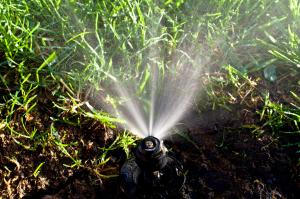 a sprinkler spray head in Castroville California after a repair job