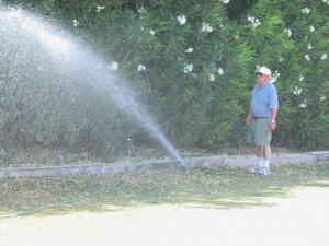 Harvey handles sprinkler repair in Salinas CA by checking a newly replaced spray head