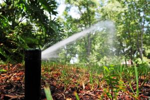 a perfect functioning sprinkler head