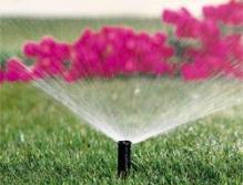 we get your sprinkler heads working in Carmel