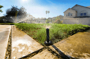 a perfectly placed sprinkler head in Salinas