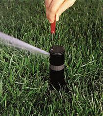 a Seaside Sprinkler Repair tech adjusts a sprinkler head